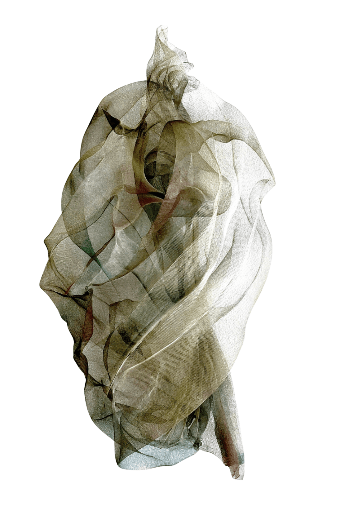 Carry Doorn _ Folding Memory